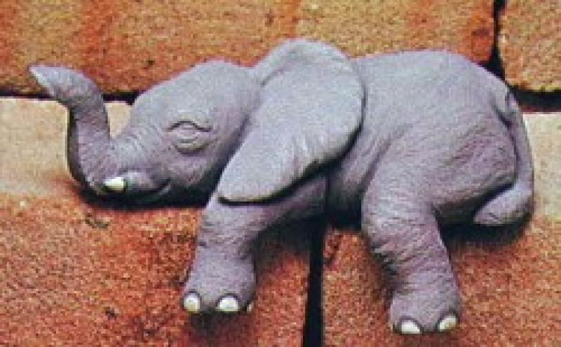 Elephant Shelf Sleeper Small