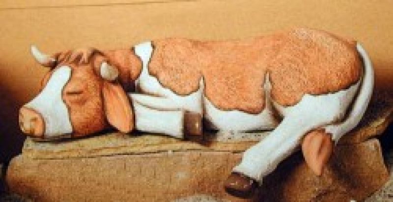 Bull Shelf Sleeper