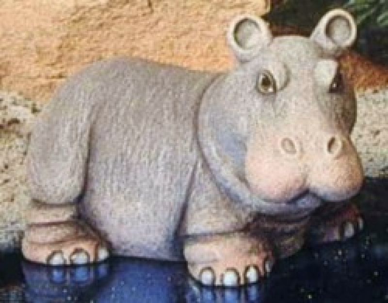 Baby Hippo Standing
