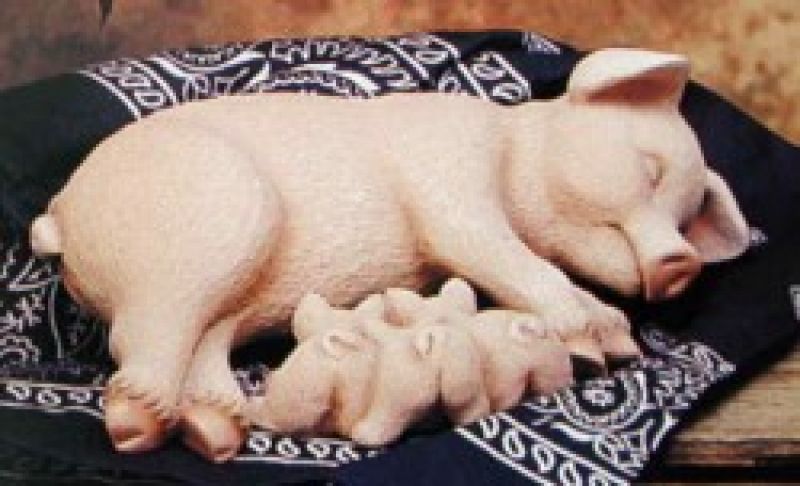 Nurturing Piglets Small