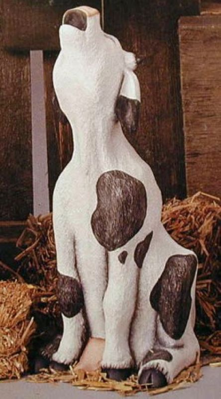 Cow Howling 13