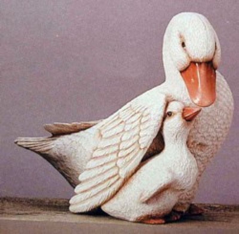 Nurturing Duck Large