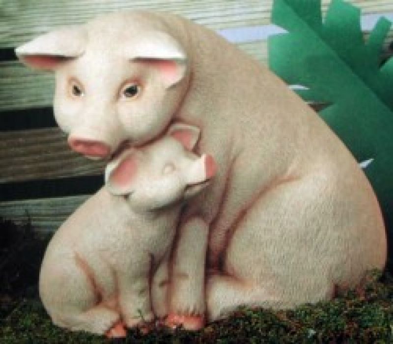 Nurturing Pig Large