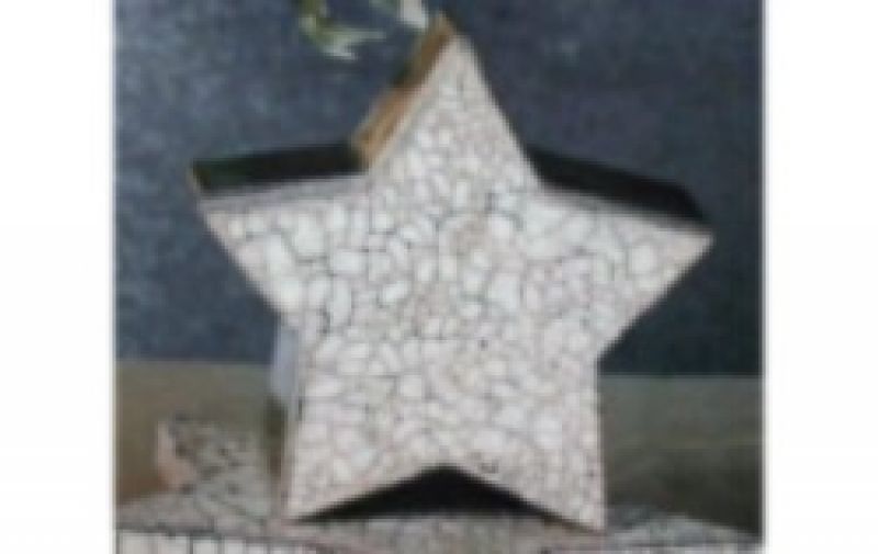 Star Box Medium