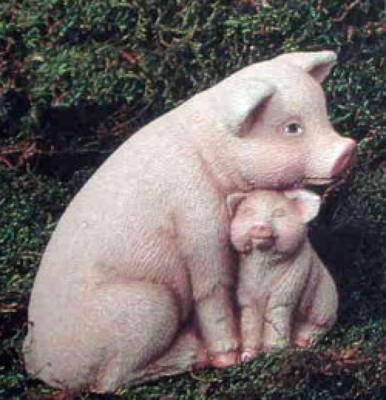 Nurturing Pig Small