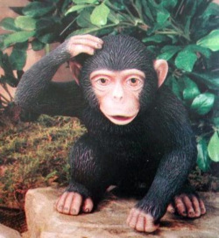 Scratching Monkey Large