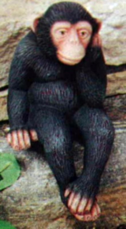Thinking Shelf Monkey Small