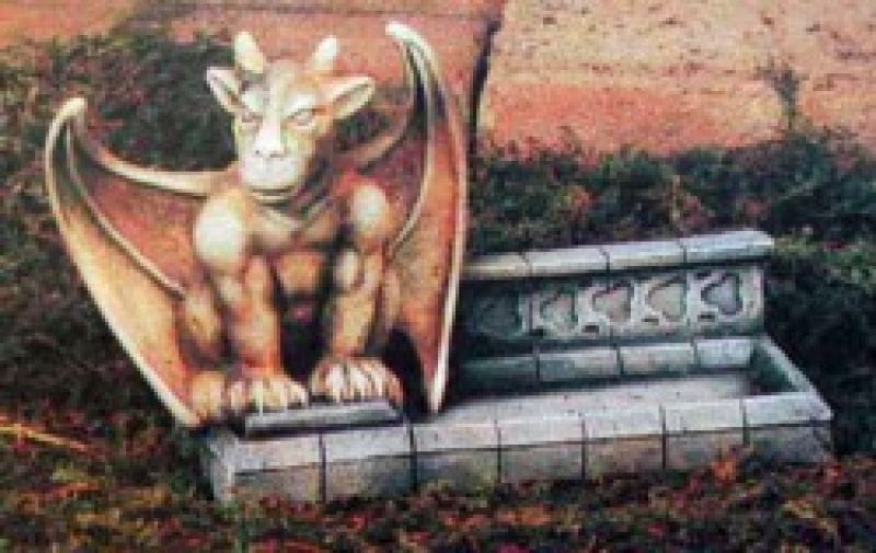 Gargoyle Cardholder