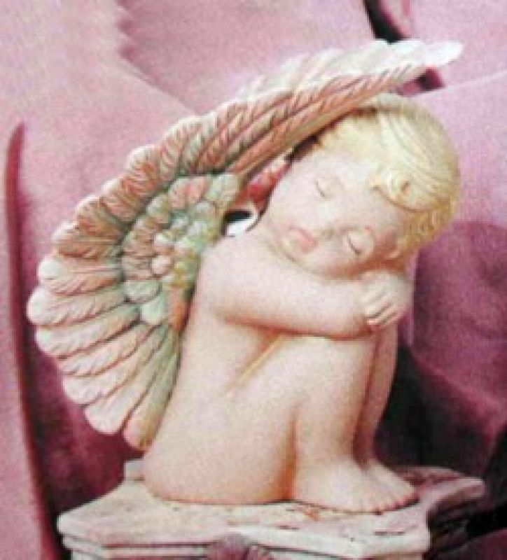 Cherub Wings Up 6