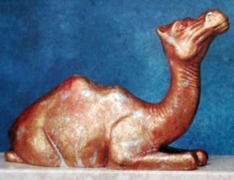 Camel Lying