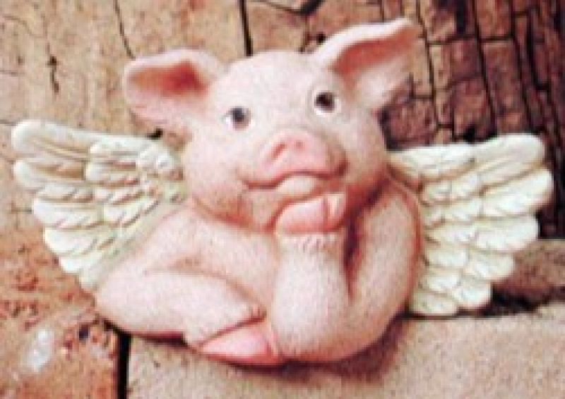 Shelf Pig With Wings