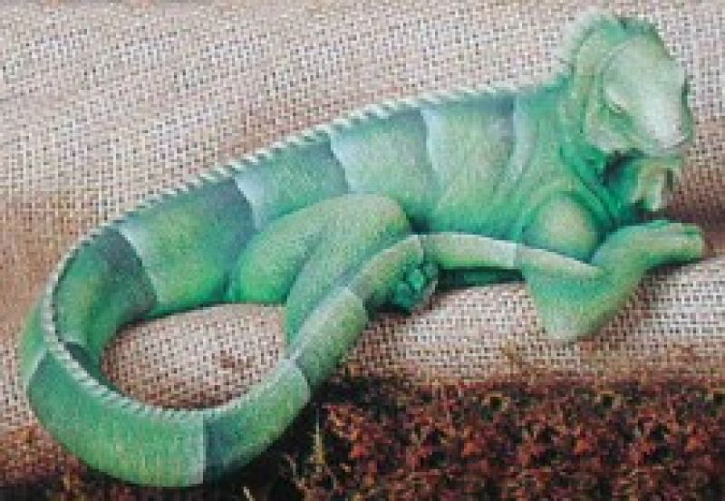 Iguana Shelf Sitter