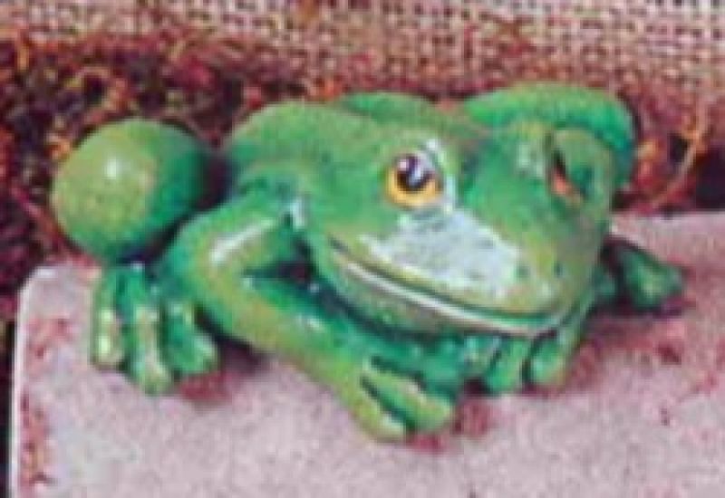 Tree Frog Sitting