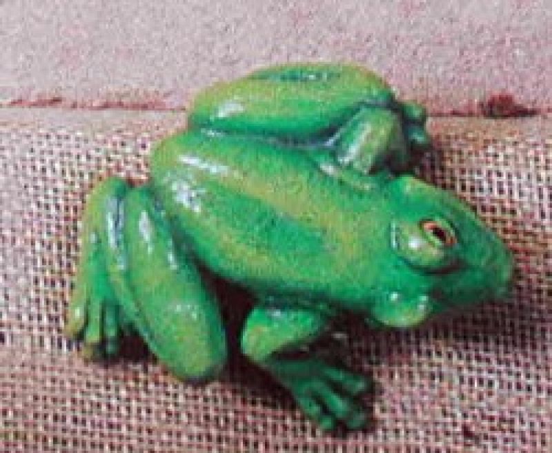 Tree Frog Facing