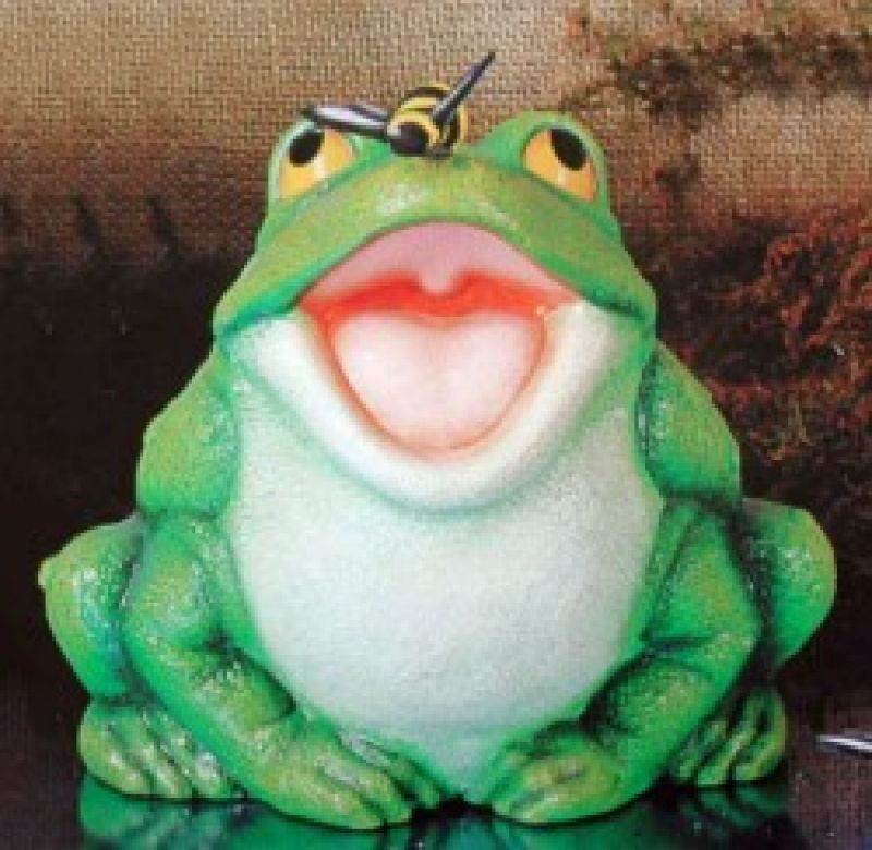 Frog With Open Mouth Large