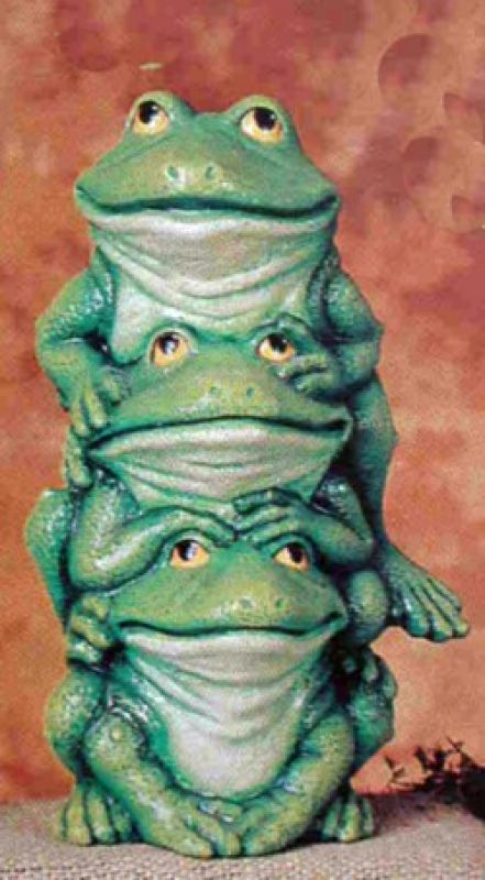 Frog Totem 9