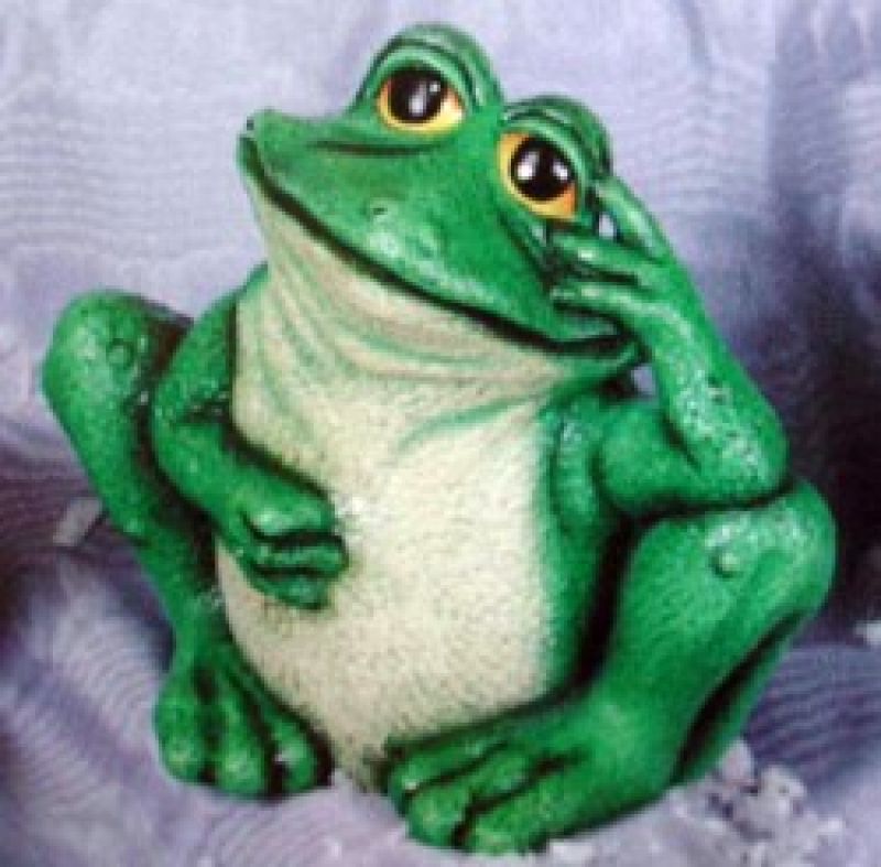 Goofy Frog Med