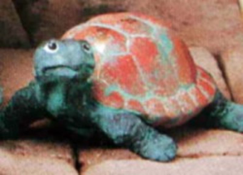 Cute Turtle Standing Look