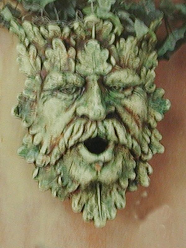 Guardian Of The Forest Planter