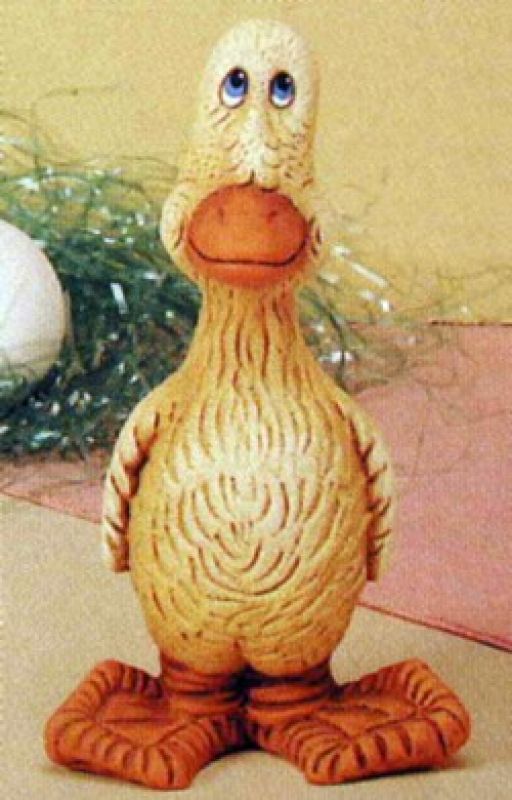Baby Funny Duck
