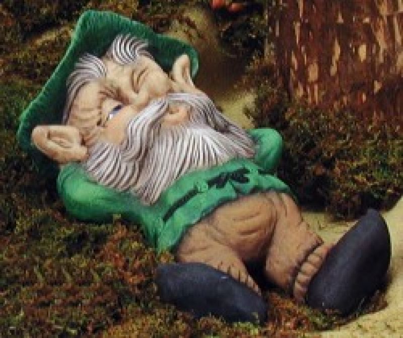Snoozer Gnome 15