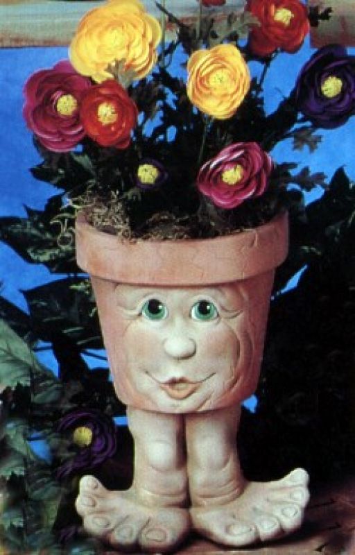 Waddle Pot Teenager 8