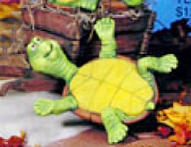 Tommy Turtle