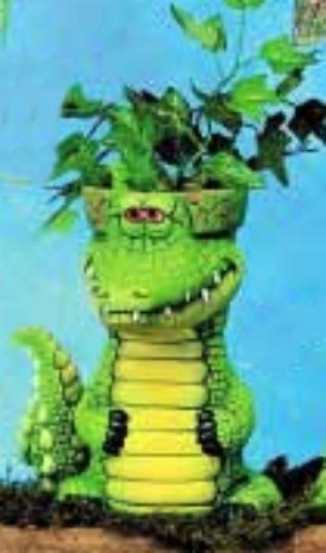 Croc Pot 7