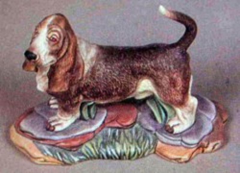 Basset Hound Dog