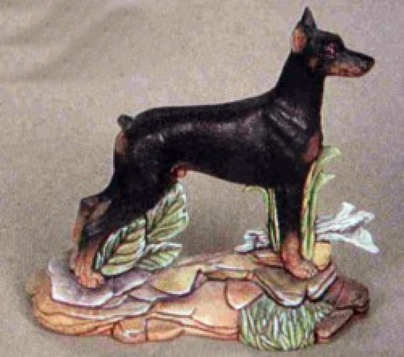 Doberman Dog