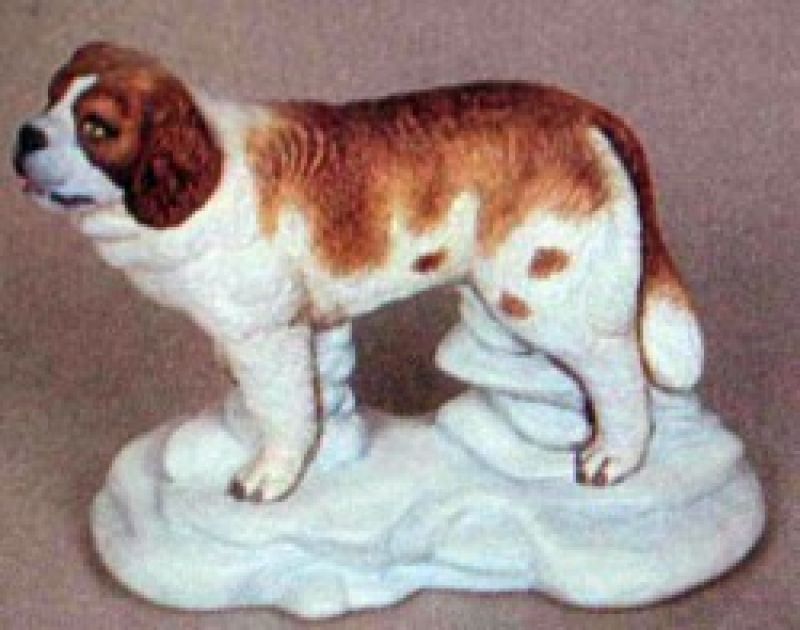 St Bernard Dog