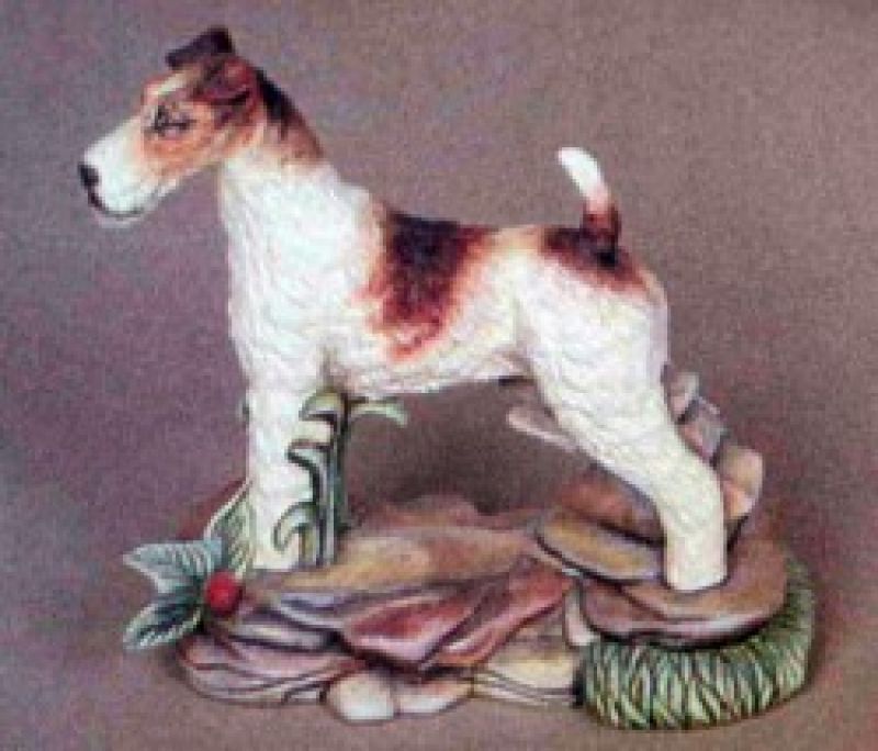Fox Terrier Dog