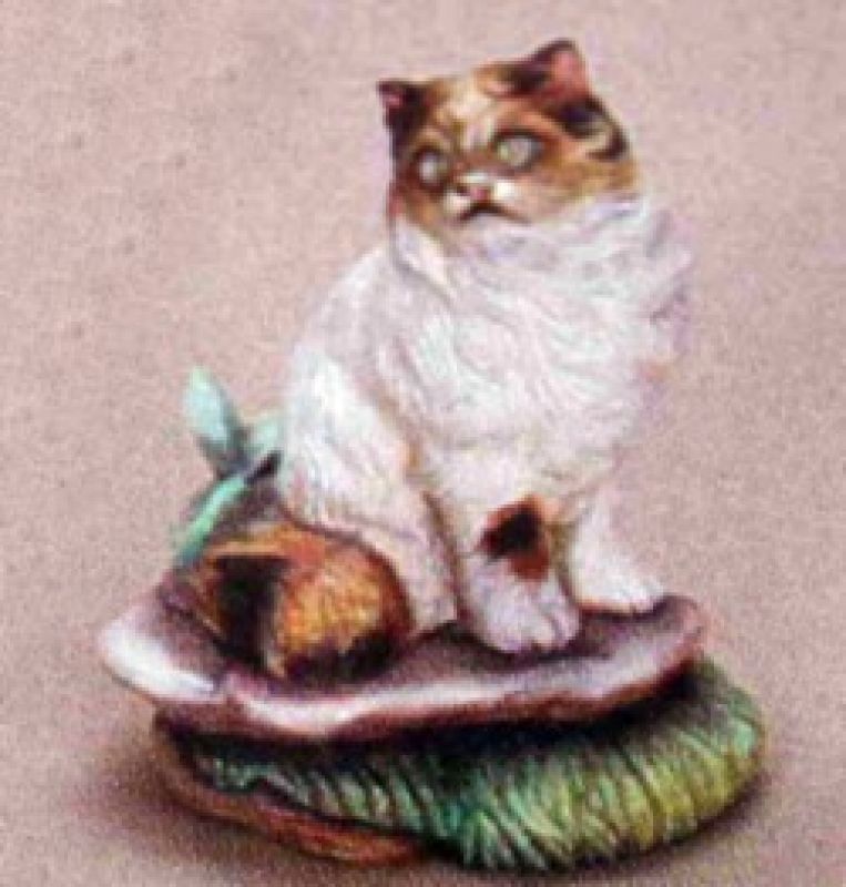 Kashmir Cat 6