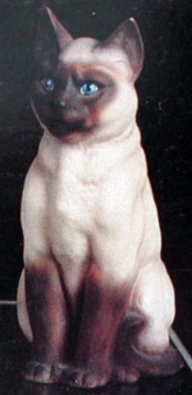 Siamese Cat