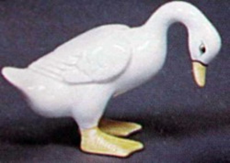 Duck 6