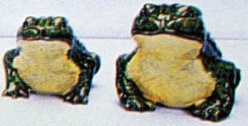 Frog - Small Only